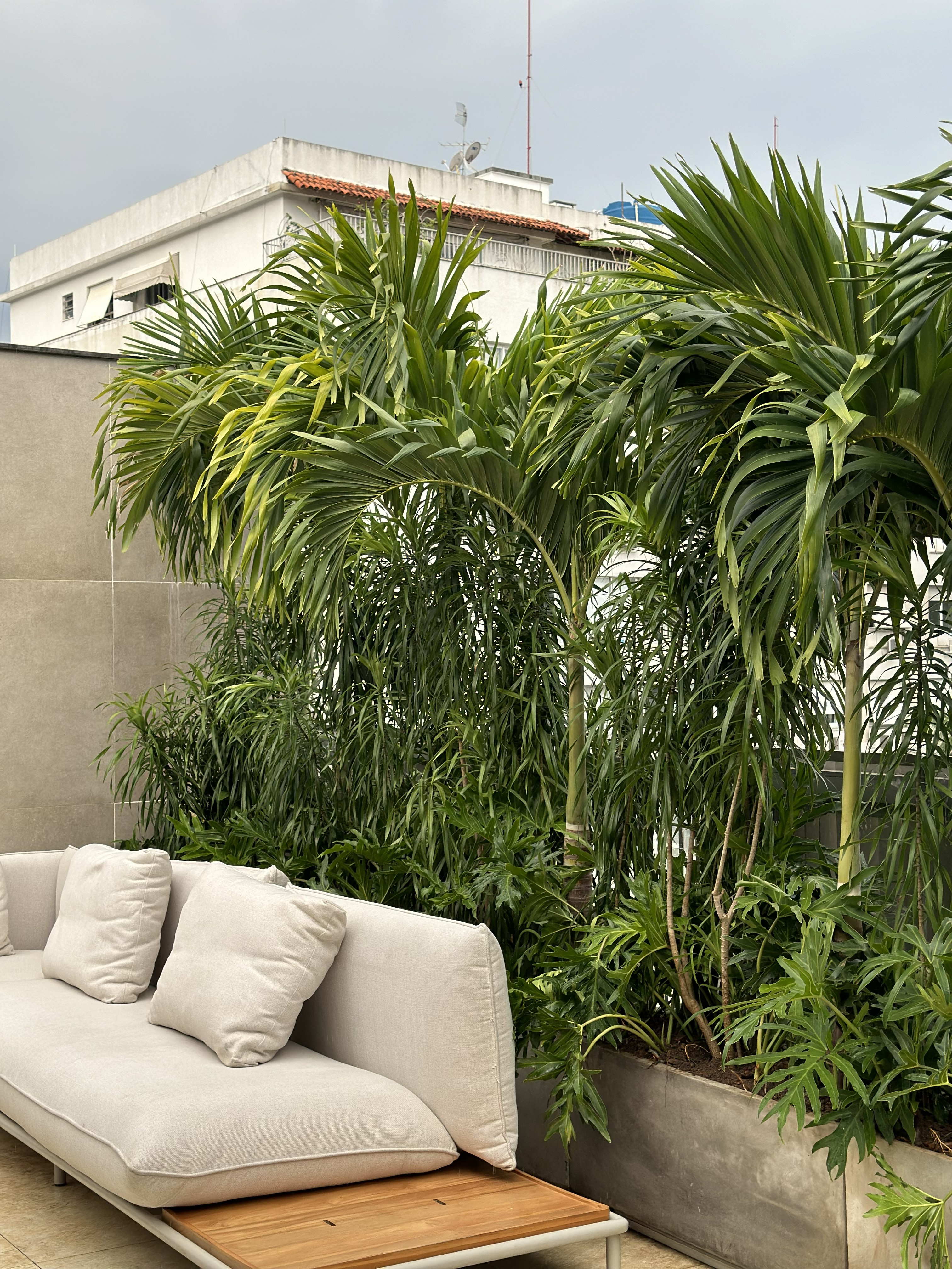 Projeto de paisagismo